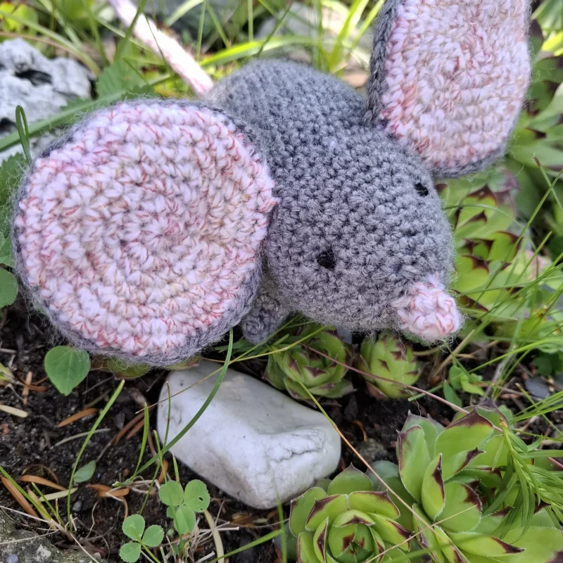 Hačkovaná väčšia myš