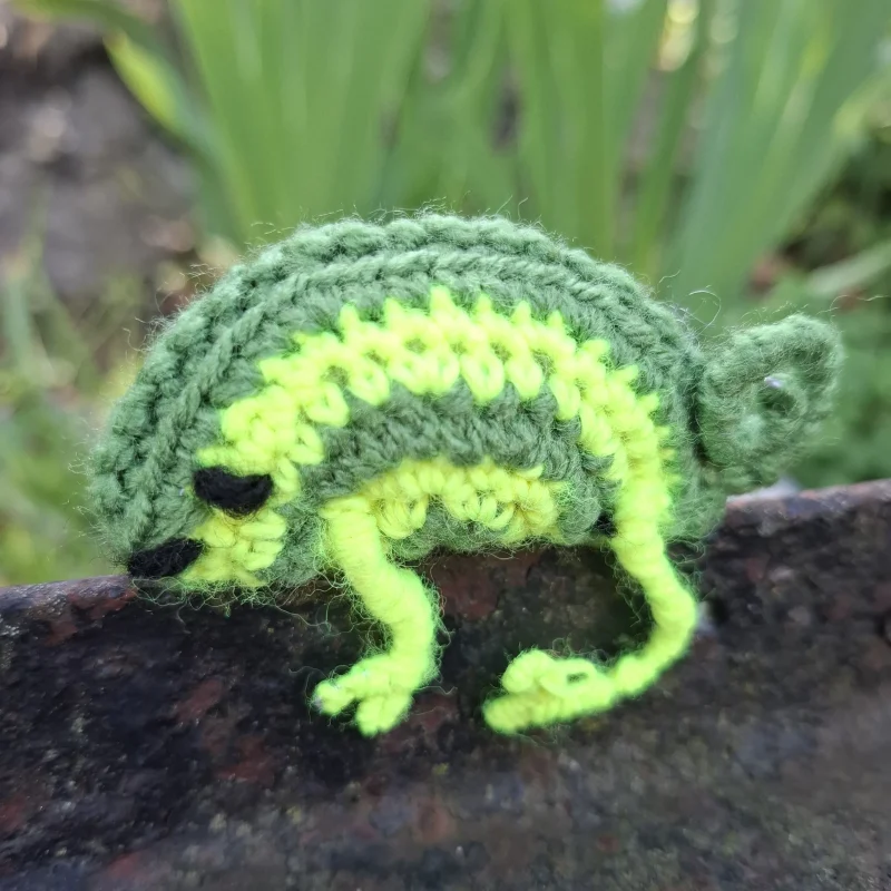 Hačkovaný chameleon