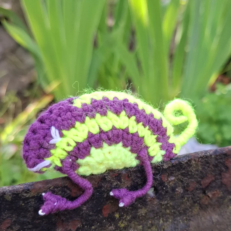 Hačkovaný chameleon